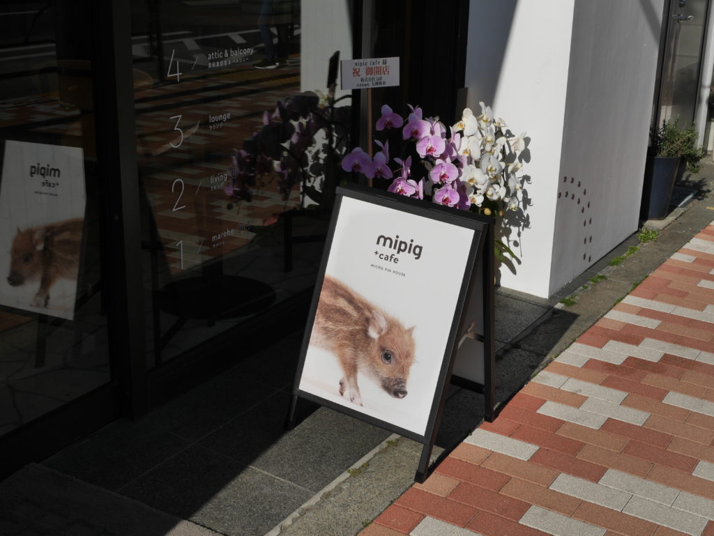 neco.world_マイピッグカフェ