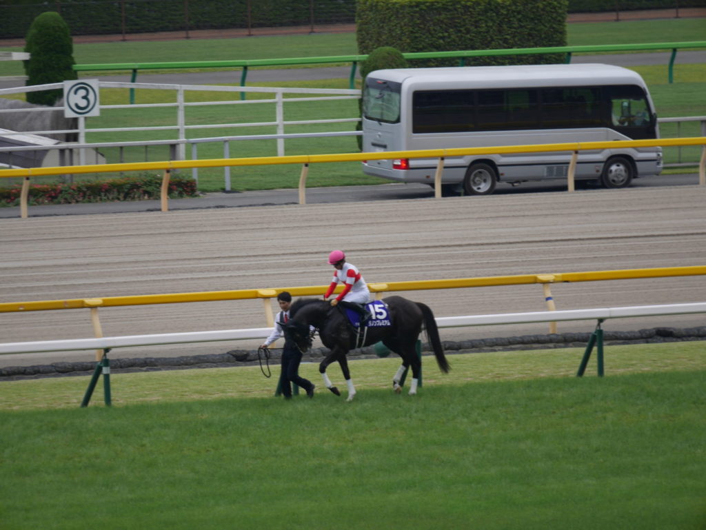 neco.world_ダノンプレミアム