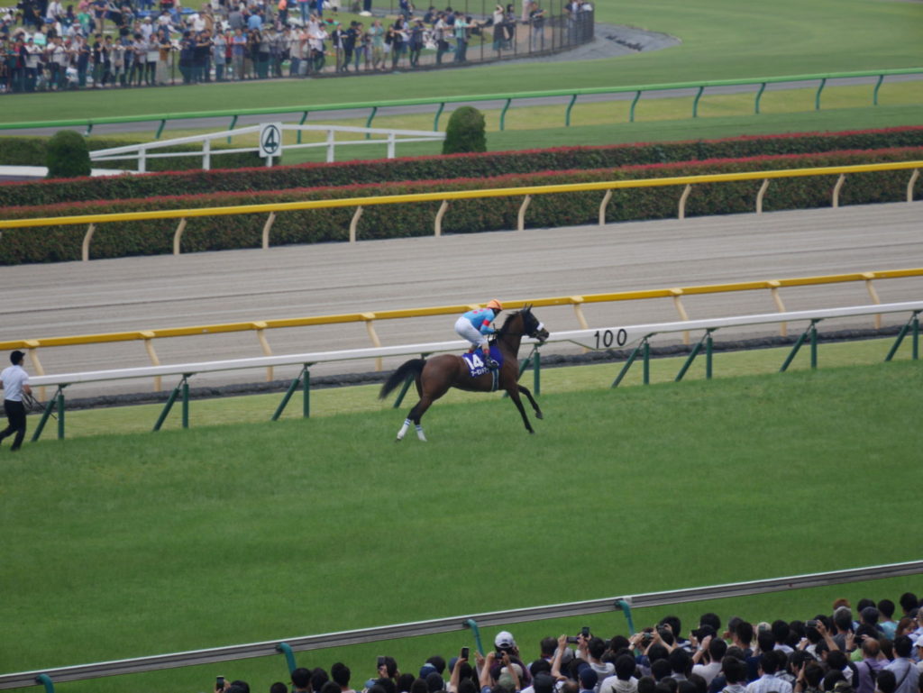 neco.world_アーモンドアイ