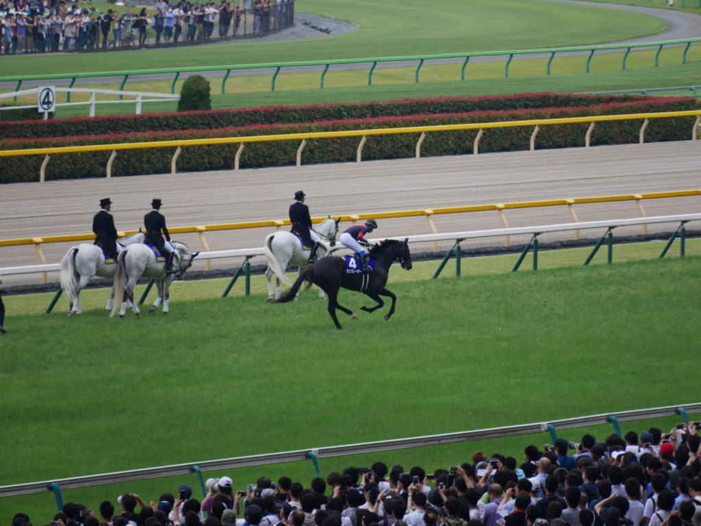 neco.world_サングレーザー