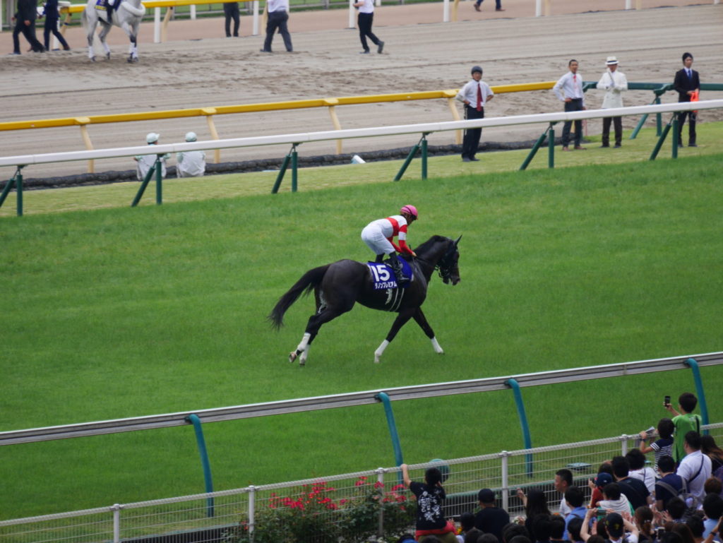 neco.world_ダノンプレミアム