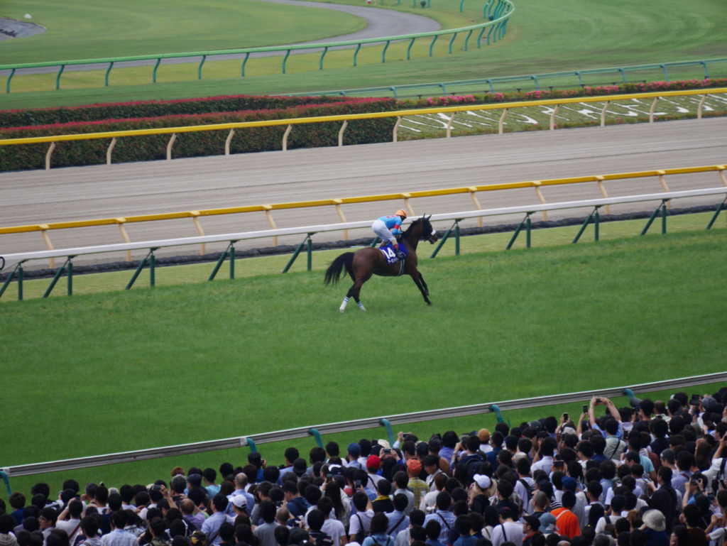 neco.world_アーモンドアイ