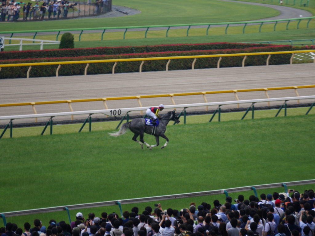 neco.world_アエロリット