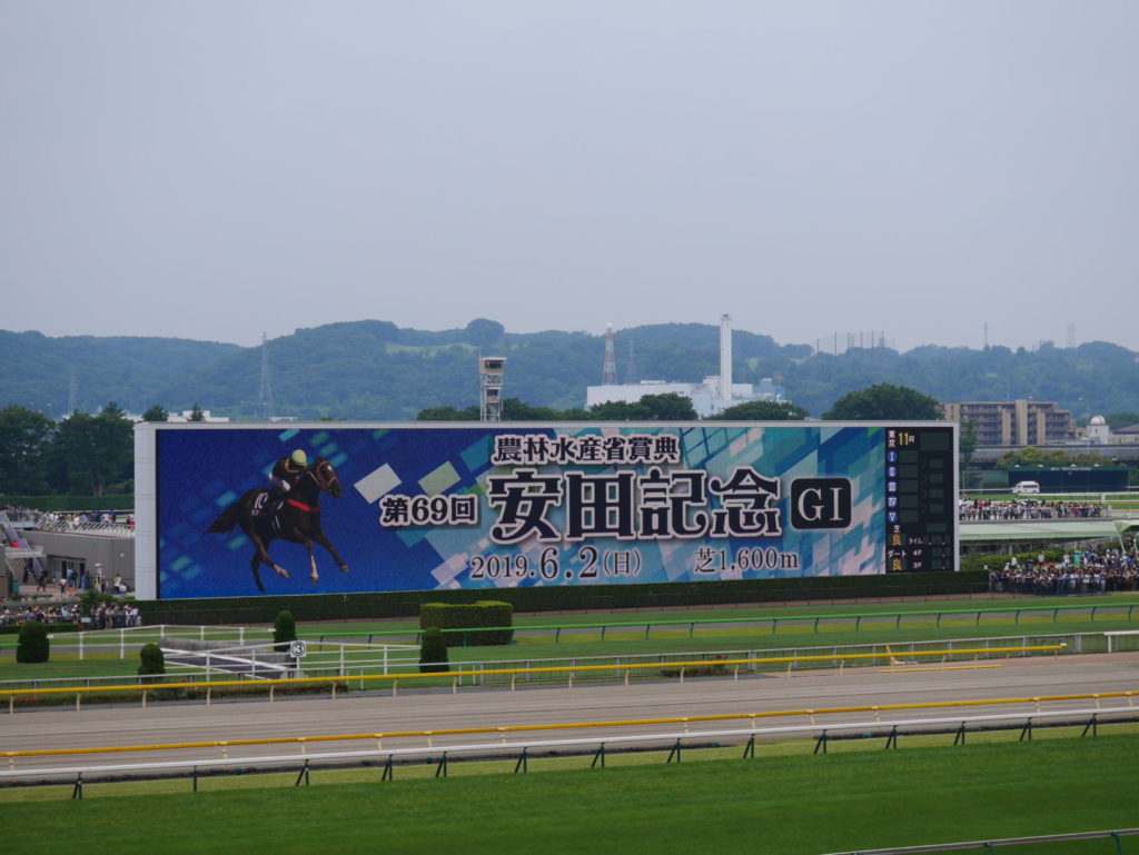 neco.world_安田記念