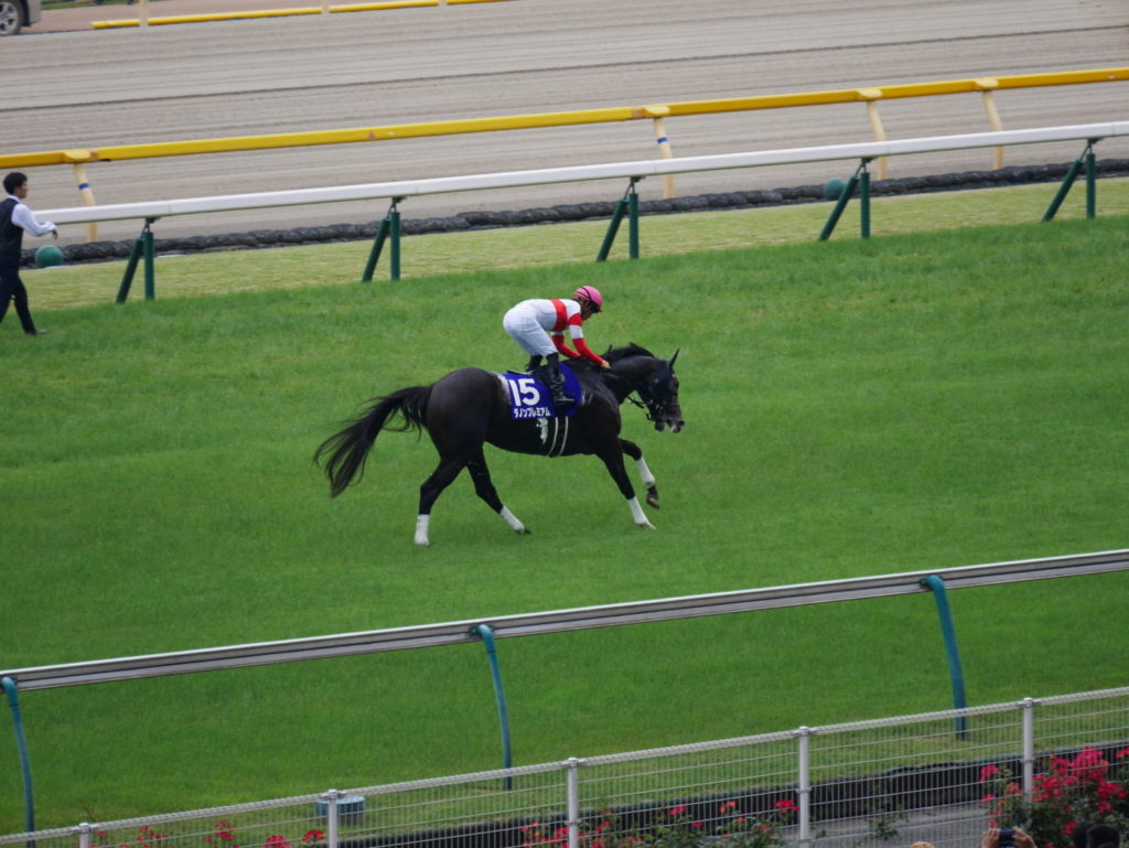 neco.world_ダノンプレミアム