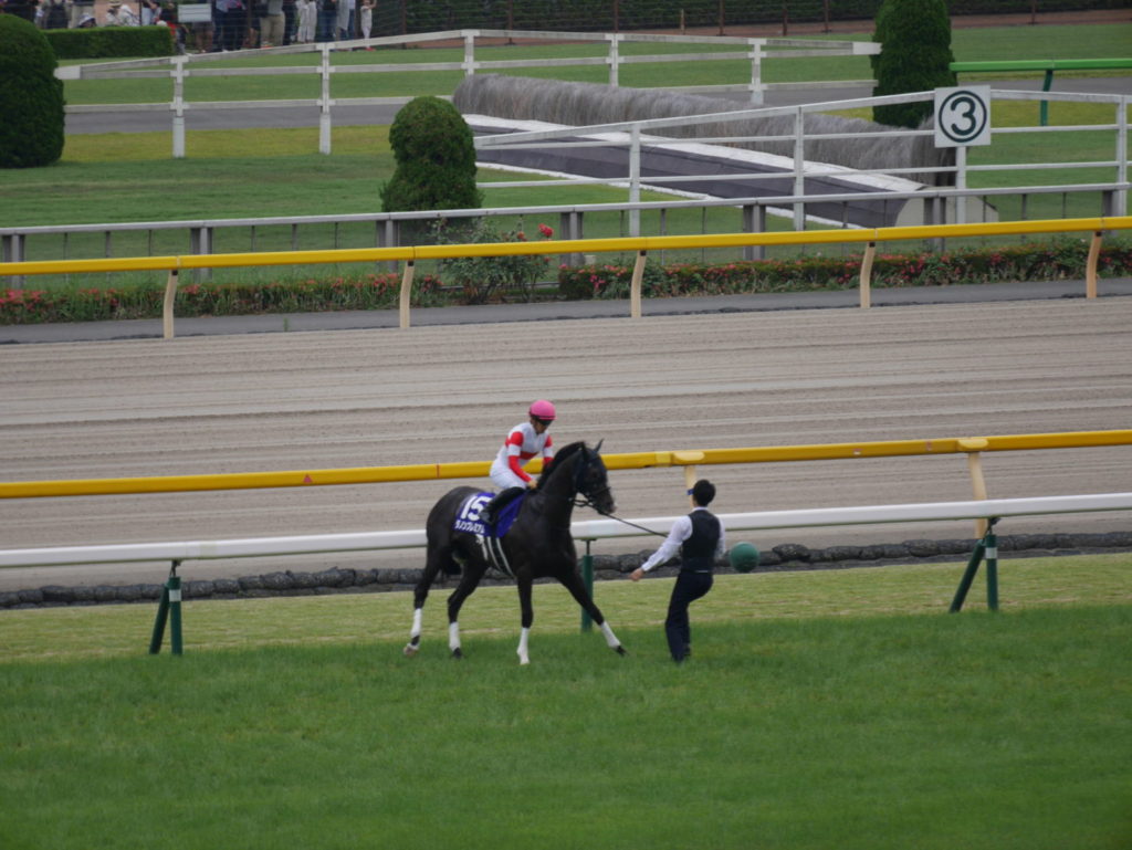 neco.world_ダノンプレミアム