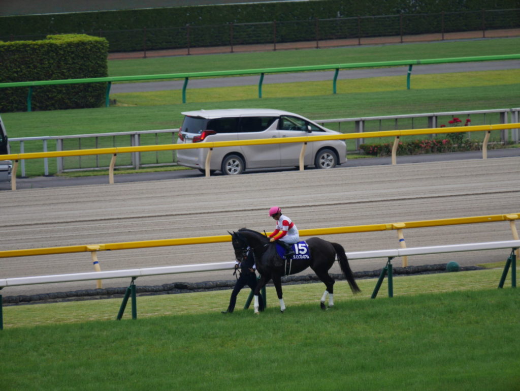 neco.world_ダノンプレミアム