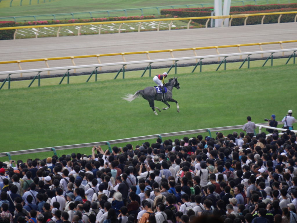 neco.world_アエロリット