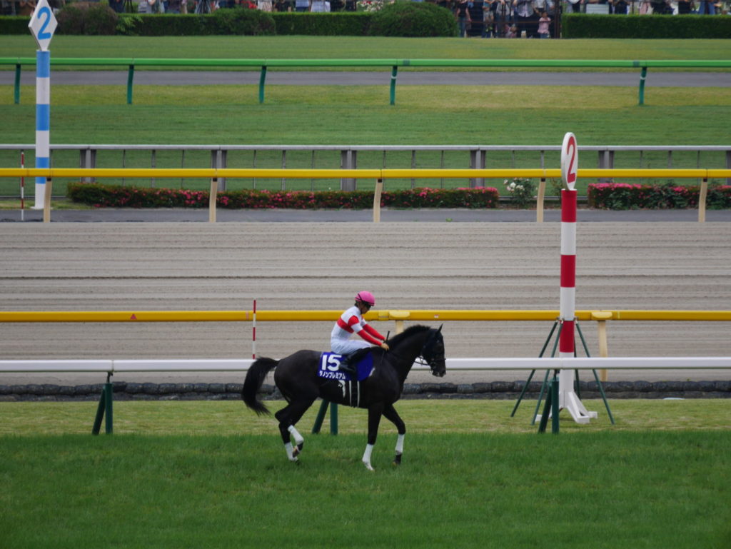 neco.world_ダノンプレミアム