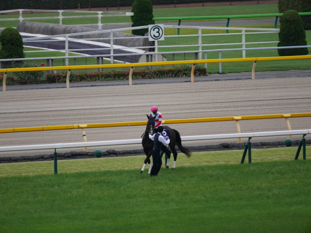 neco.world_ダノンプレミアム